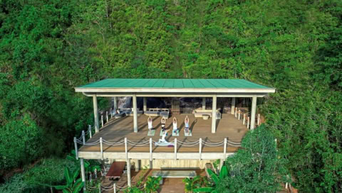 Überdachte Yoga-Plattform im Wald mit mehreren Personen in Yogapositionen.