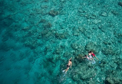 Schnorcheln im Korrallenriff