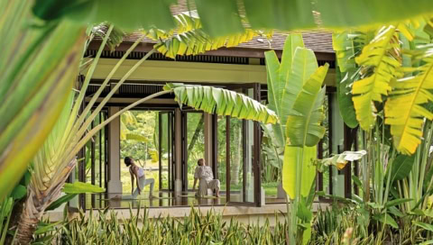 Gäste beim Yoga im lichtdurchfluteten Pavillon mit tropischer Vegetation