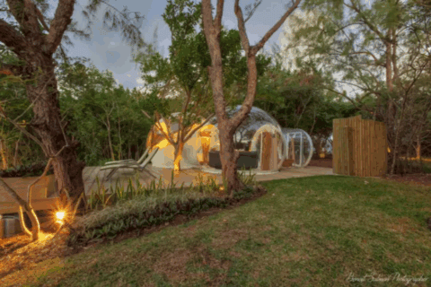 Bubble-Suite im Grünen mit Liegestühlen auf einer Holzterrasse, umgeben von Bäumen