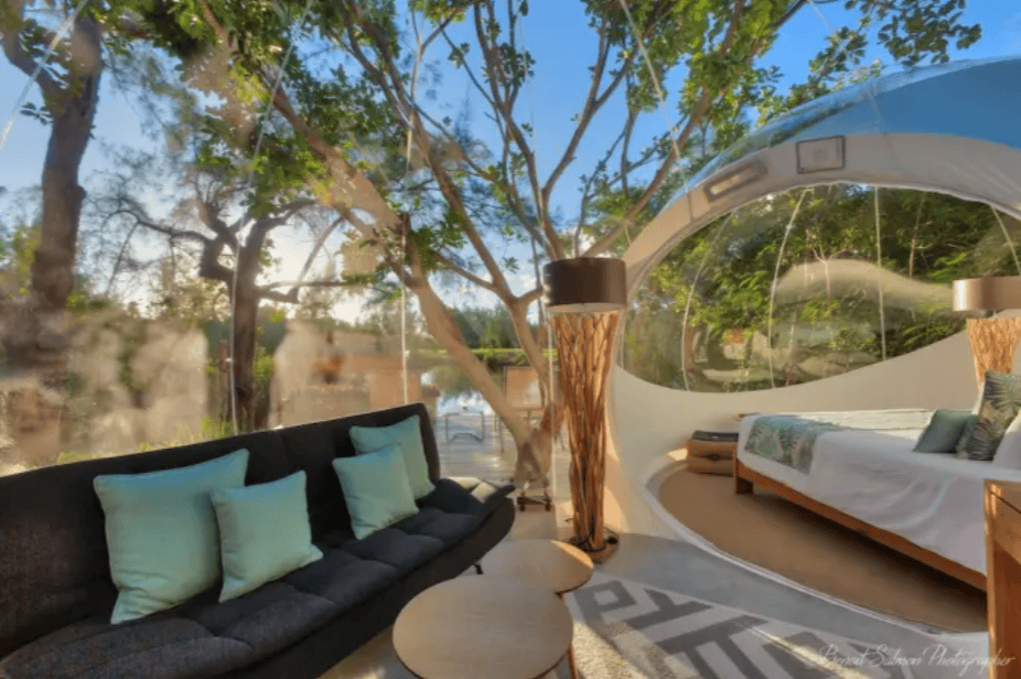 Gemütlicher Wohnbereich mit Sofa und großen Fenstern mit Blick auf See und Natur