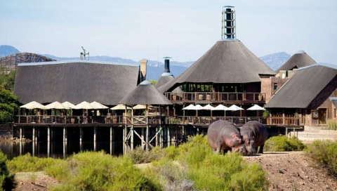 Lodge mit zwei Nilpferden davor