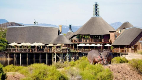 Lodge mit zwei Nilpferden davor