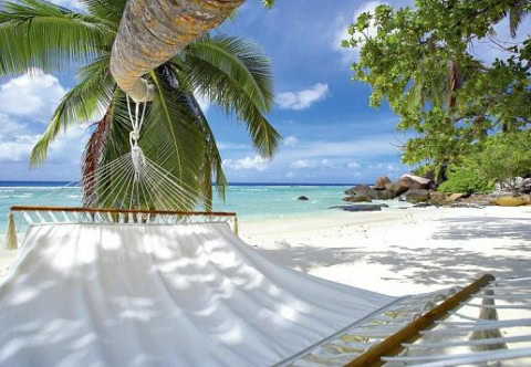 Hängematte unter Palmen