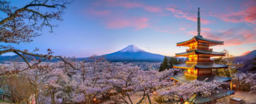 Der Fuji im Frühling mit der Chureito Pagode