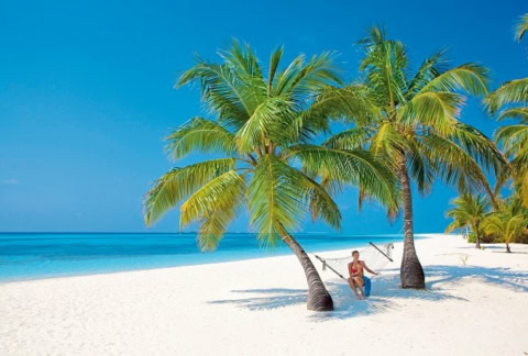 Hängematte unter zwei Palmen am Strand