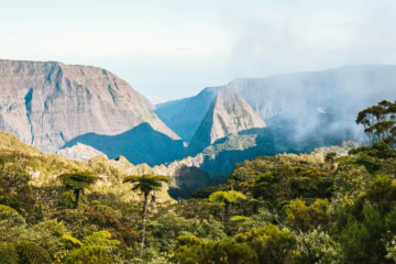 Dschungel mit herausstehenden Bergen bei Sonnenschein