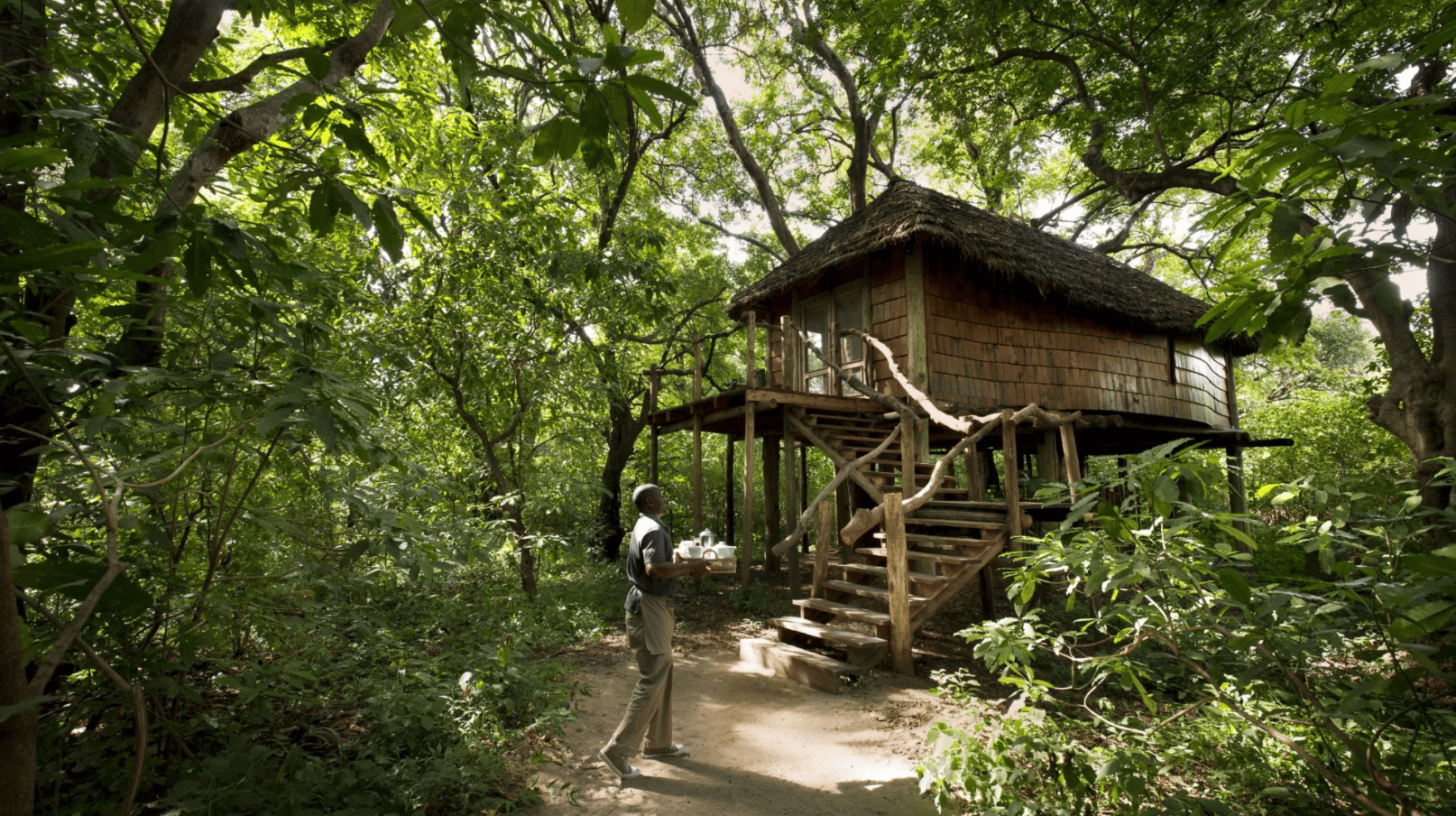 Baumhaus-Suite auf Stelzen mitten im dichten Urwald des Lake-Manyara-Nationalparks