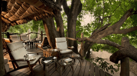 Holzterrasse in den Bäumen mit bequemen Sesseln und Aussicht auf den Wald