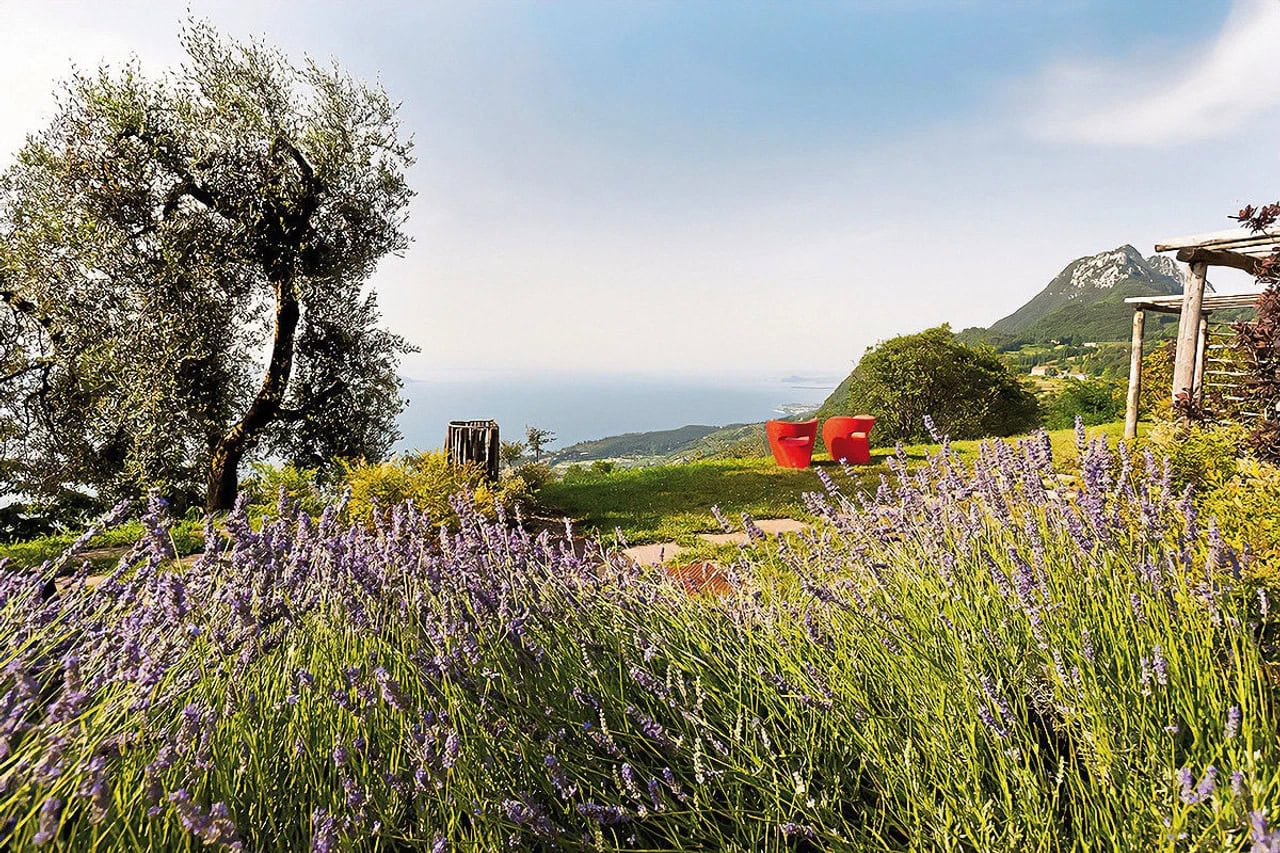 Garten des Lefay Resort & Spa Lago di Garda mit Lavendel, Olivenbaum, Sitzplätzen und Blick über den See