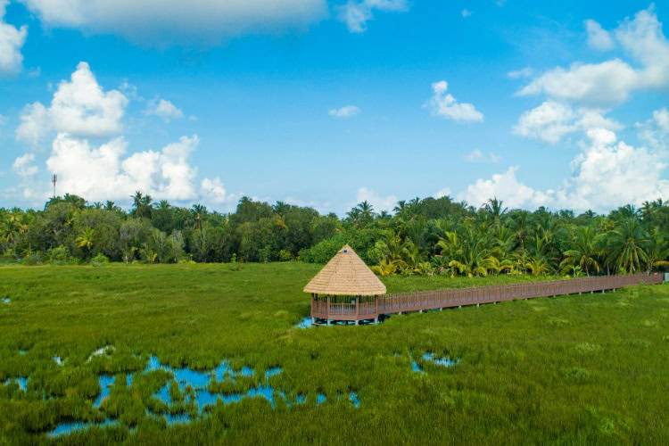 Holzsteg mit Pavillon inmitten tropischer Vegetation auf den Malediven, grüne Landschaft unter blauem Himmel.