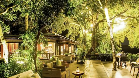 Villa zwischen Bäumen