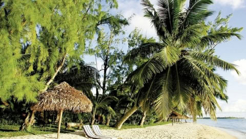 Strand mit Palmen und Liegen