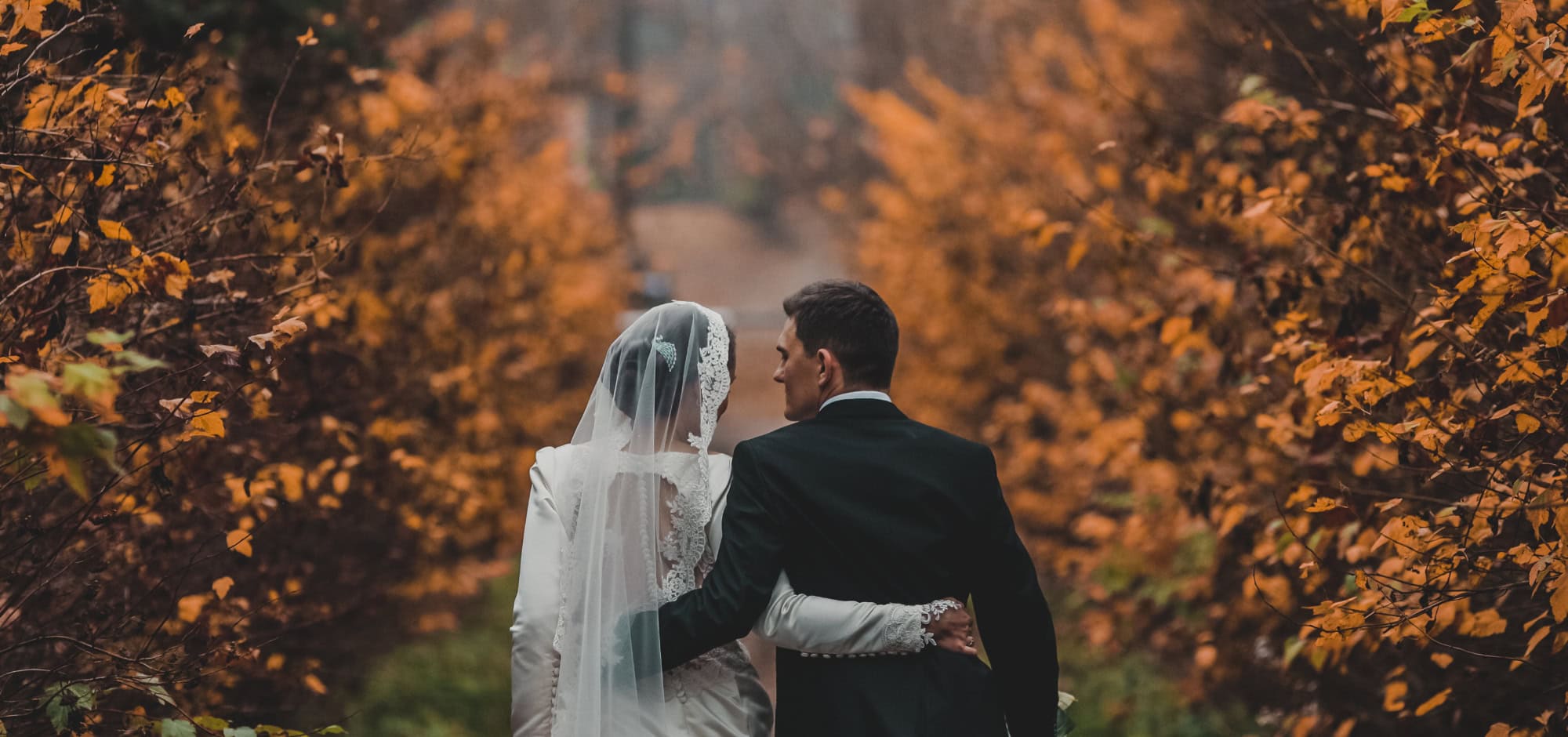 Ein Brautpaar von hinten, in einem leicht nebligen Herbstwald.