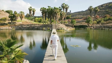 Holzbrücke über einem See