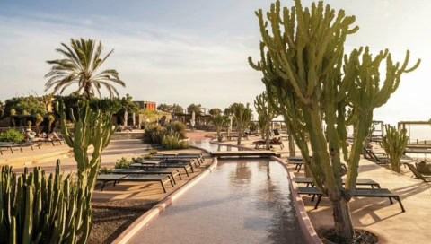 kleiner Bach mit Sonnenliegen und Kakteeen