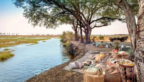 Romantisches Picknick unter schattigen Bäumen am Flussufer im Okavango-Delta.