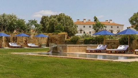 Poollandschaft mit Wiese und Liegen