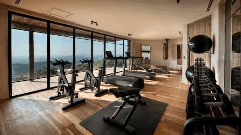 Moderner Fitnessraum mit Panoramafenstern und Blick auf die Savanne