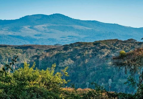 Aussicht auf den Nationalpark