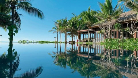 Infinity-Pool mit Palmen und Spiegelung im Wasser