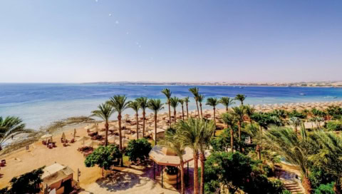 Vogelperspektive auf das Hotel. Viele Palmen und das Meer.