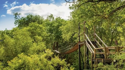 Hängebrücke zwischen den Bäumen