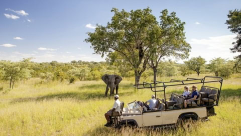 Safari truck der einem Elefanten begegnet